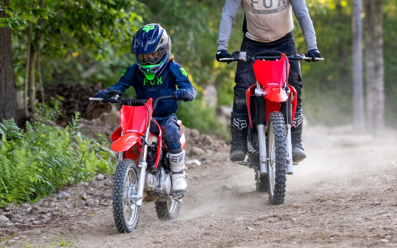 5 Buying Considerations Before You Choose Your Honda CRF110F