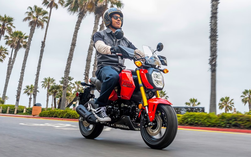 Springfield, MO - 2026 Honda Grom Springfield, MO - 2026 Honda Grom