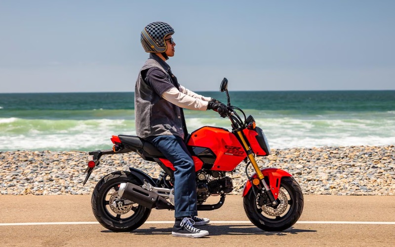 Style and Customization Await with the 2026 Honda Grom near Fayetteville, AR