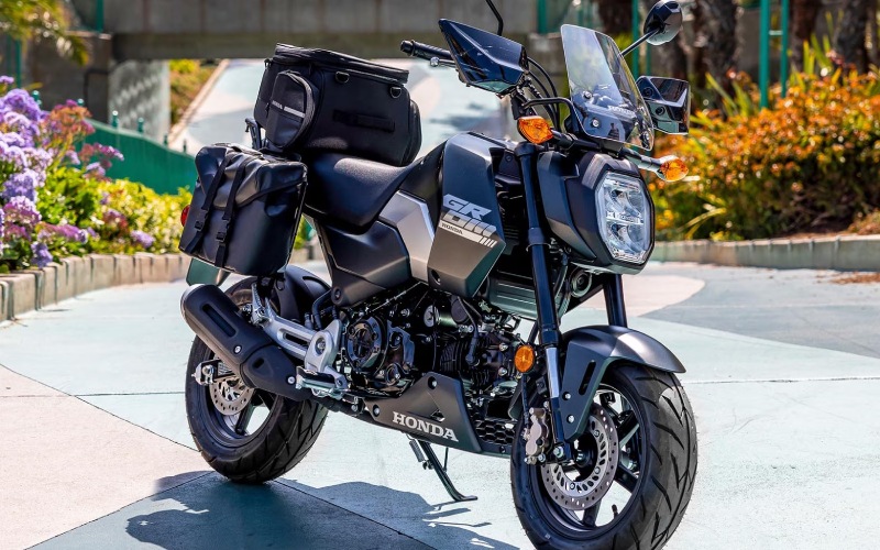 Finding the Fun in City Riding with the 2026 Honda Grom near Bentonville, AR